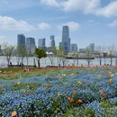 上海旅游 缩略图 6