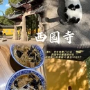 苏州旅游 缩略图 6