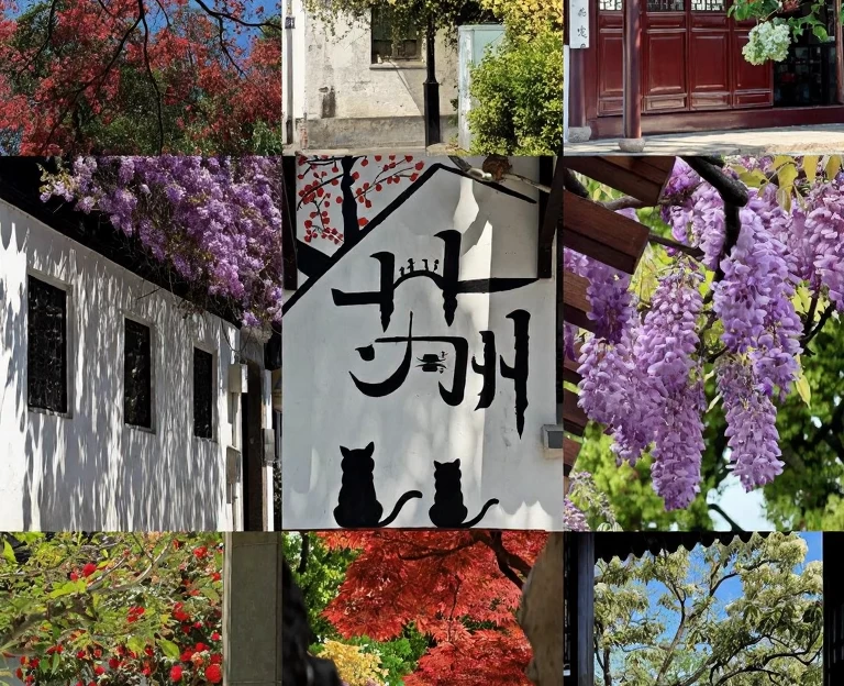 苏州旅游 1