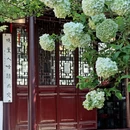 苏州旅游 缩略图 5