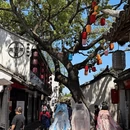 苏州旅游 缩略图 9