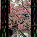 苏州旅游 缩略图 18