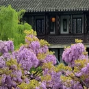 苏州旅游 缩略图 17