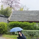 南京旅游 缩略图 3
