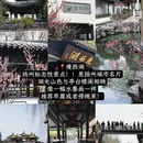 扬州旅游 缩略图 6