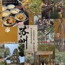 南京旅游 缩略图 2