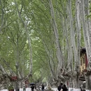 南京旅游 缩略图 15