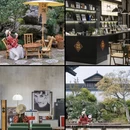 嘉兴旅游 缩略图 14