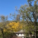 镇江旅游 缩略图 3