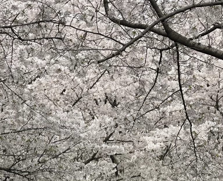 上海旅游 1