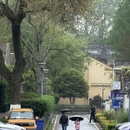 南京旅游 缩略图 11