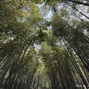南京旅游 缩略图 8