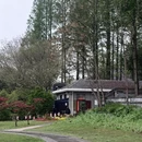 南京旅游 缩略图 17