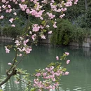 南京旅游 缩略图 7