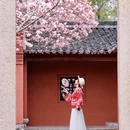 嘉兴旅游 缩略图 12