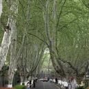 南京旅游 缩略图 14