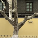 南京旅游 缩略图 10