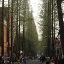 上海旅游 缩略图 3