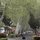 南京旅游 缩略图 16