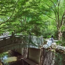 天津旅游 缩略图 6