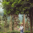 天津旅游 缩略图 10
