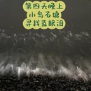 黄山旅游 缩略图 10