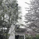 上海旅游 缩略图 2