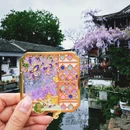 苏州旅游 缩略图 4
