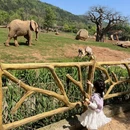深圳旅游 缩略图 3