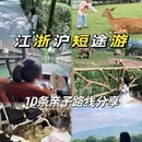 深圳旅游 缩略图 1