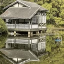 上海旅游 缩略图 16