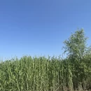 苏州旅游 缩略图 2