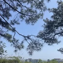 苏州旅游 缩略图 3