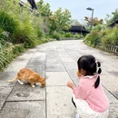深圳旅游 缩略图 10