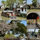 苏州旅游 缩略图 14
