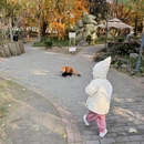 深圳旅游 缩略图 15