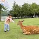 深圳旅游 缩略图 12