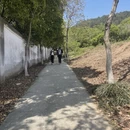 苏州旅游 缩略图 7