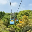 深圳旅游 缩略图 9