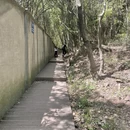 苏州旅游 缩略图 9