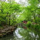 苏州旅游 缩略图 10
