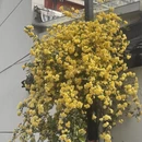 苏州旅游 缩略图 9