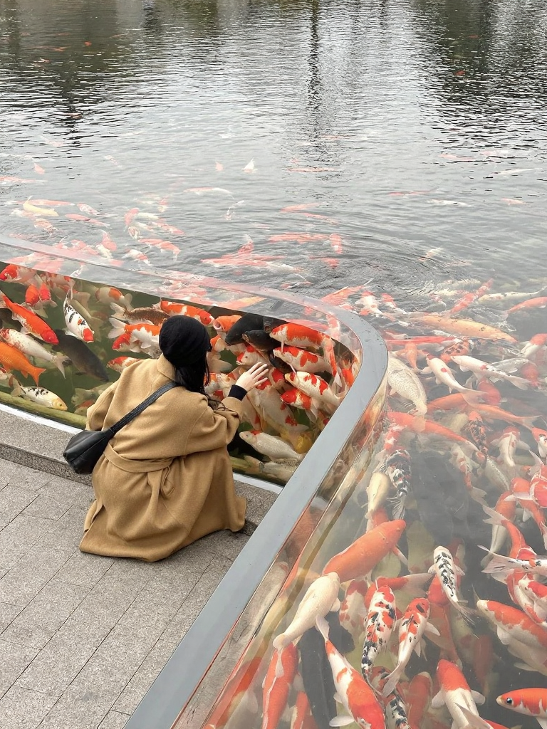 南京旅游