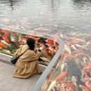 南京旅游 缩略图 1
