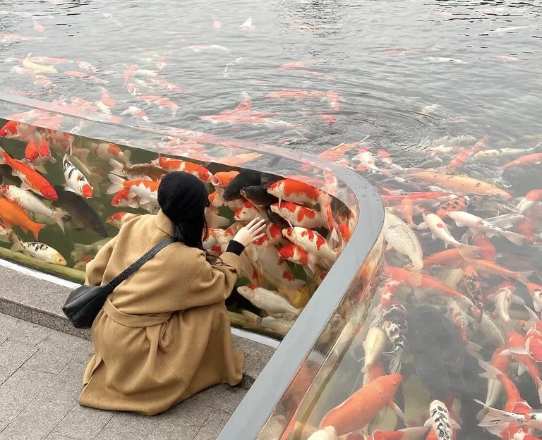 南京旅游 1