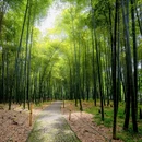 苏州旅游 缩略图 12