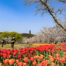 苏州旅游 缩略图 15