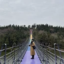 南京旅游 缩略图 3