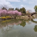 扬州旅游 缩略图 17