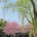 北京旅游 缩略图 8